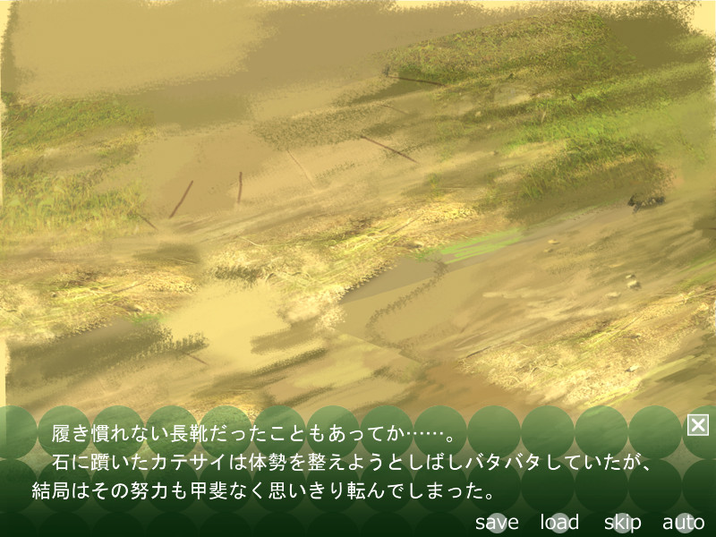 카테사이의 토마토 밭 -정액재배-