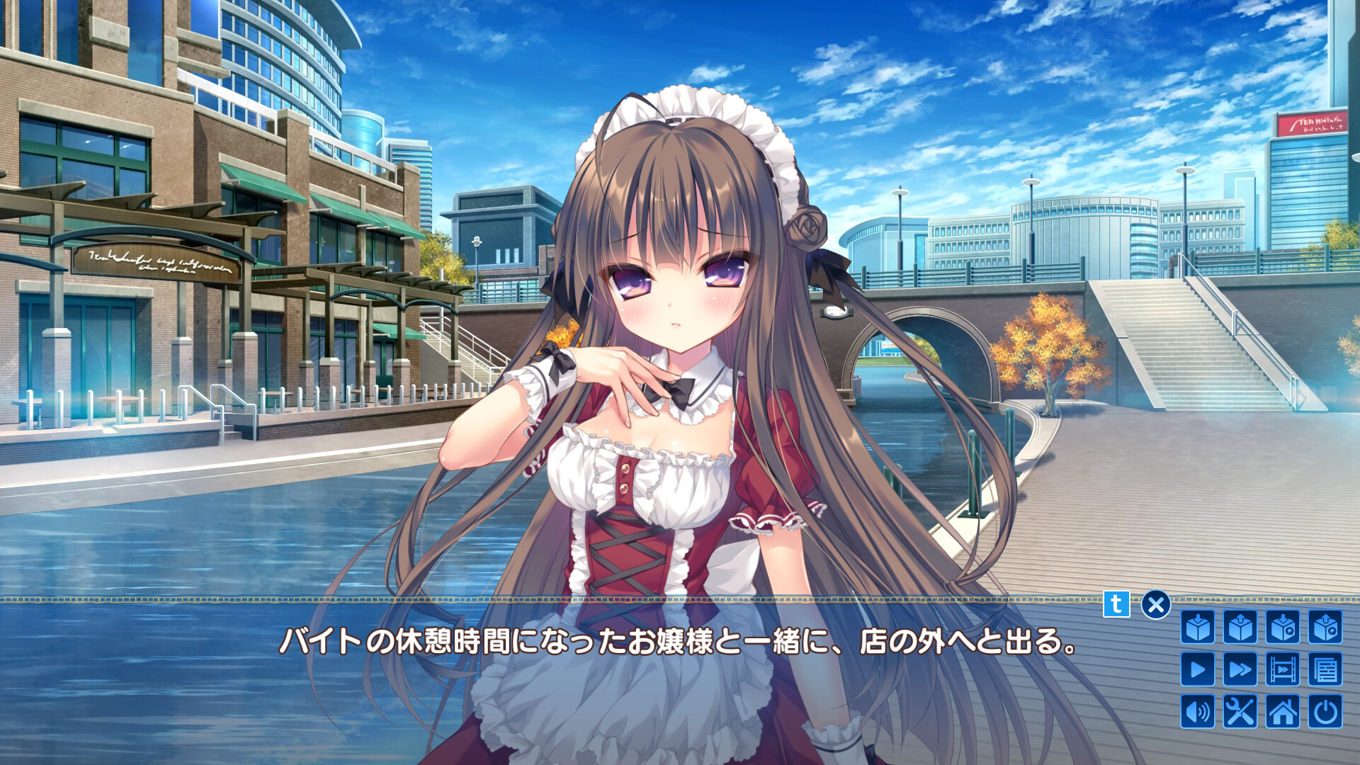 망각 집사와 사랑에 빠진 아가씨의 회상록