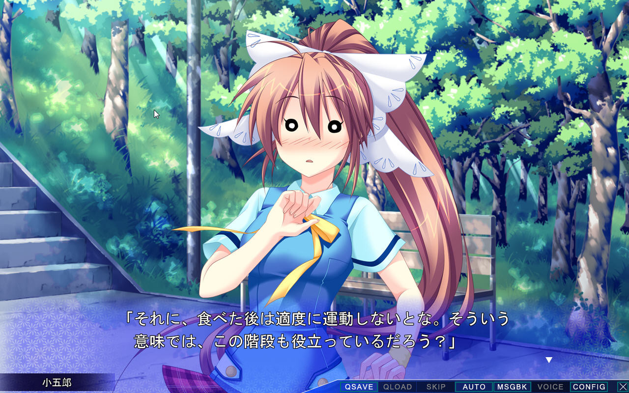 플래그 부수는 남자