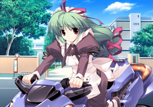 컬러풀 아쿠아리움