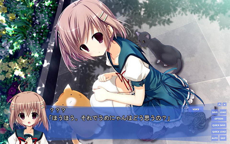 나와 그녀가 미스터리한 건에 대하여