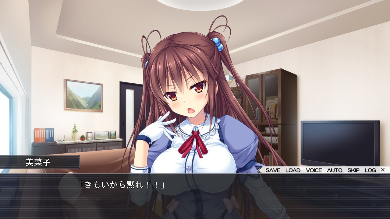 하렘 게임 ～나는 이것 덕분에 에로게의 주인공이 될 수 있었습니다!～