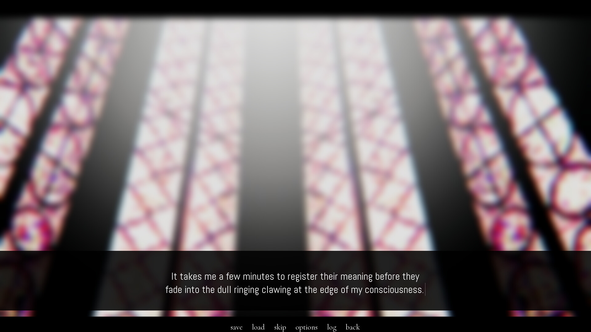 a portrait of feathers