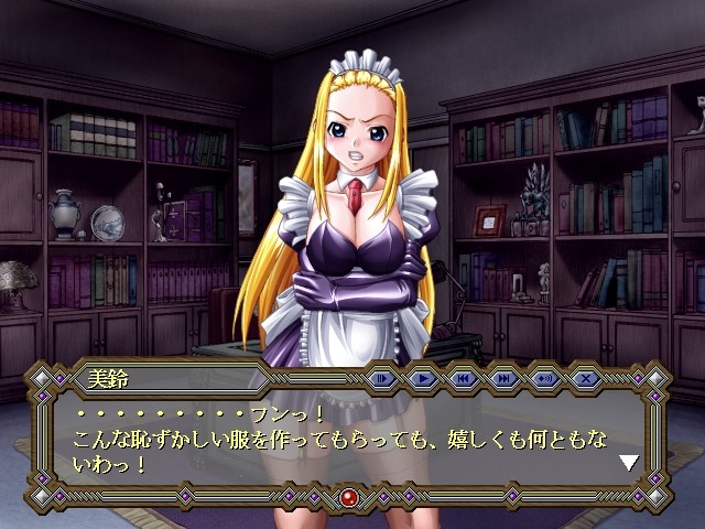 본디지 게임 ～심창의 예양들～