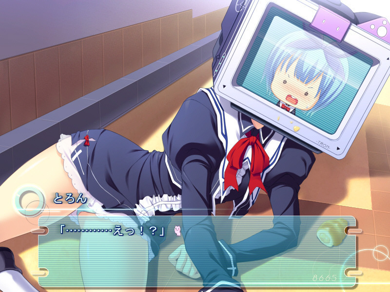 8665^2 하루루코의 사정