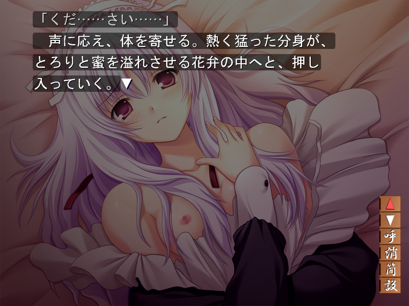 츠이노 야카타 ～인형～