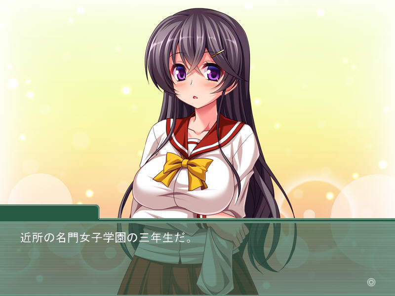 소녀세뇌 ～귀여운 그 아이가 나의 애완동물이 되어줄 때까지～