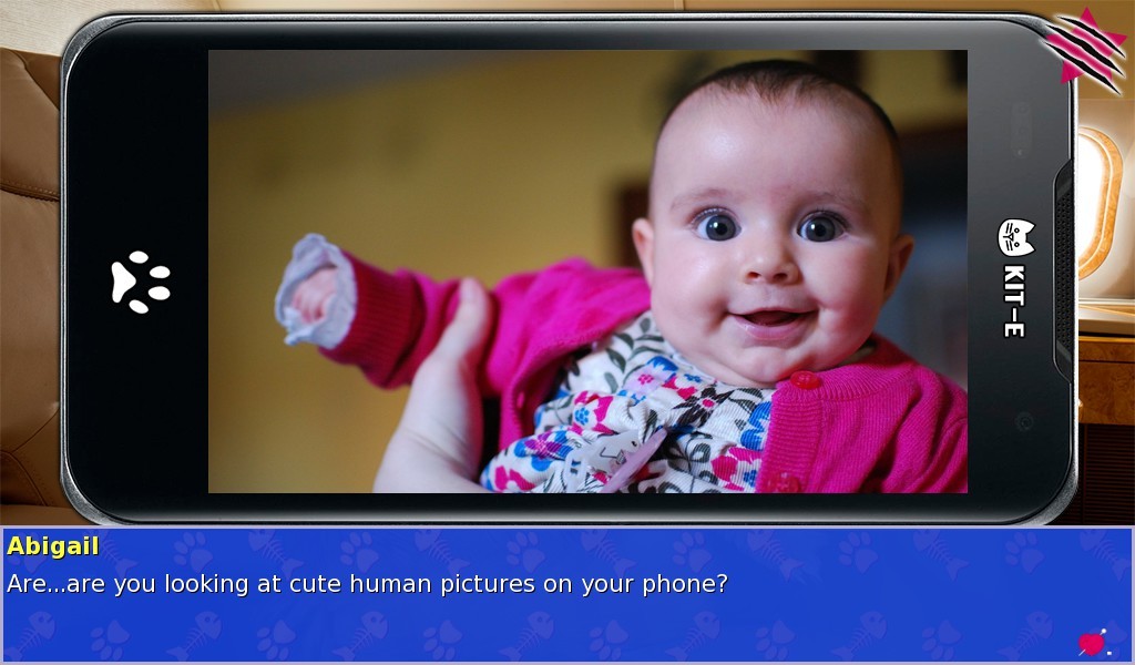 Cat President ~A More Purrfect Union~