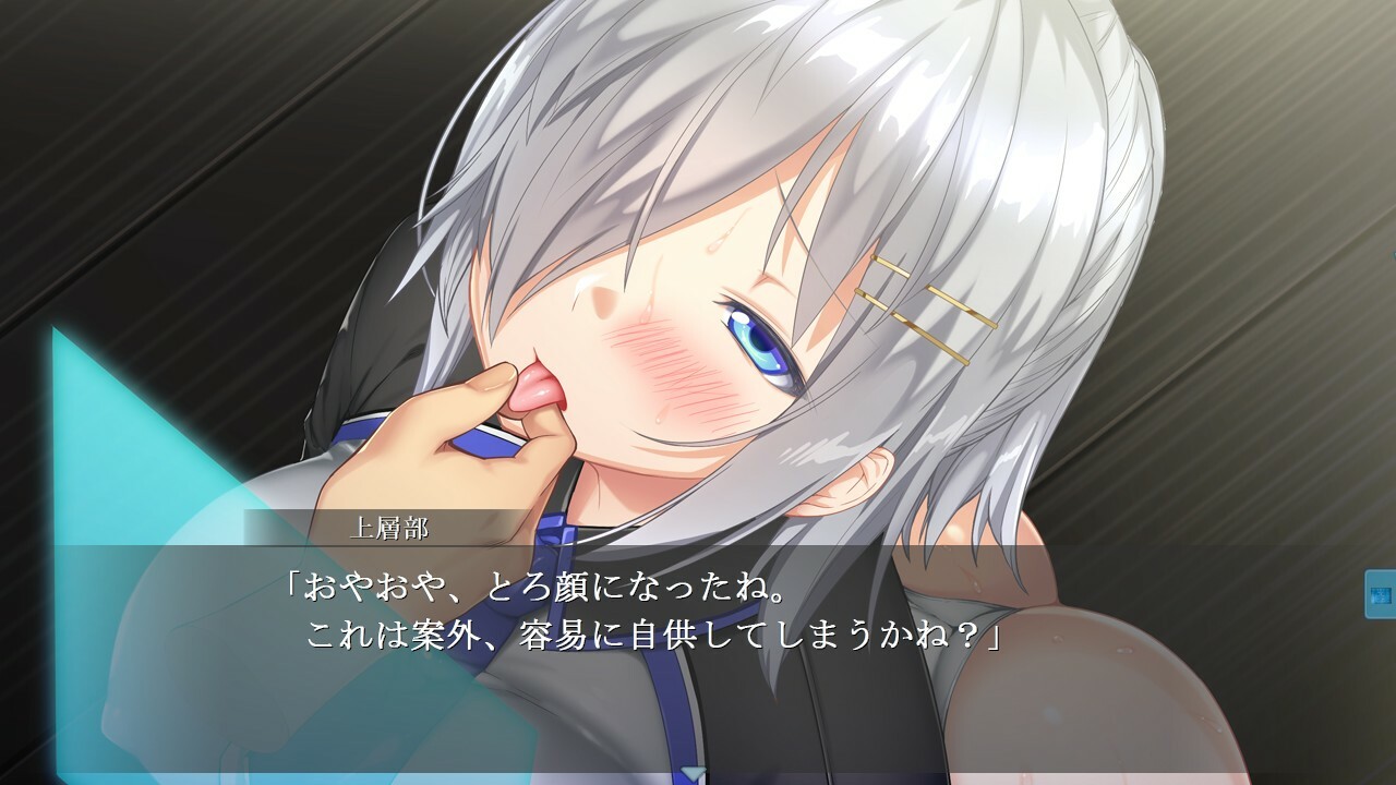 복수의 여장교 하이네 ～지체에 새겨지는 음욕의 프로그램～