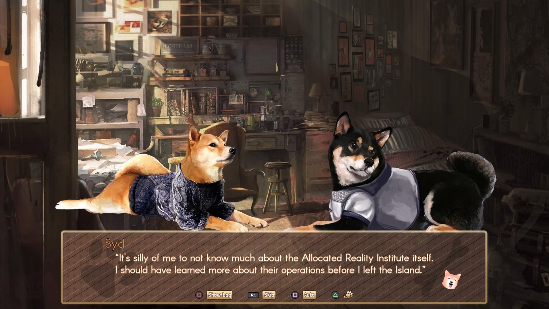 A Summer with the Shiba Inu