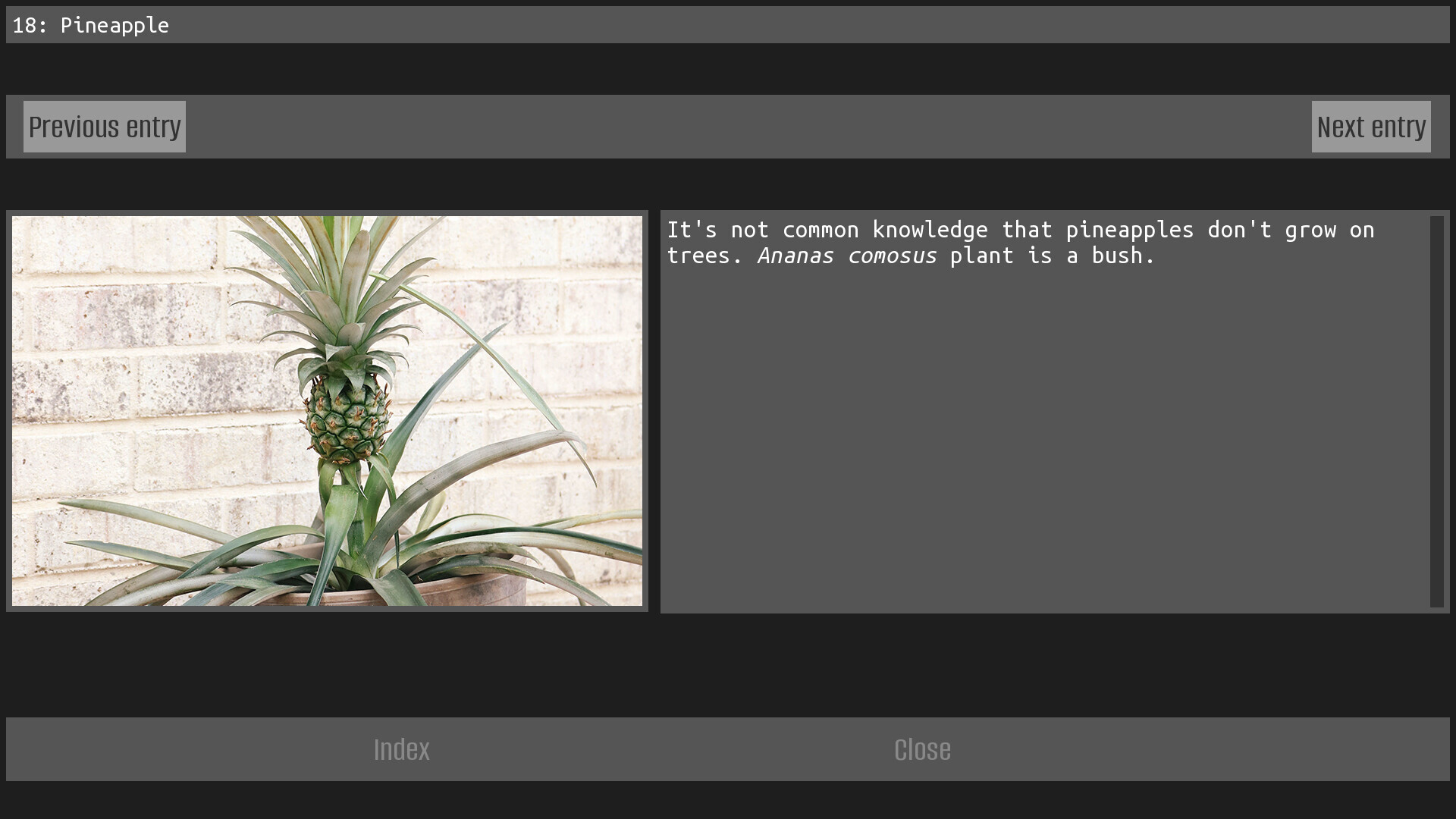 No men in this house