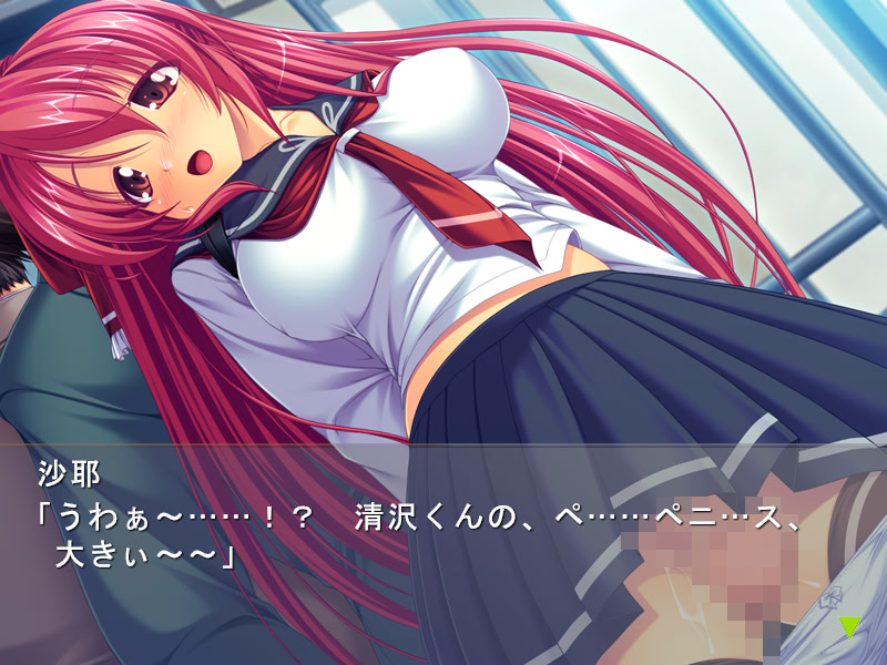 도키도키 치한전차 ~보쿠와 그녀의 비밀스러운 관계~