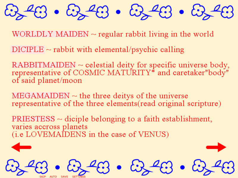 RABBITMAIDEN~SOFTBOOK