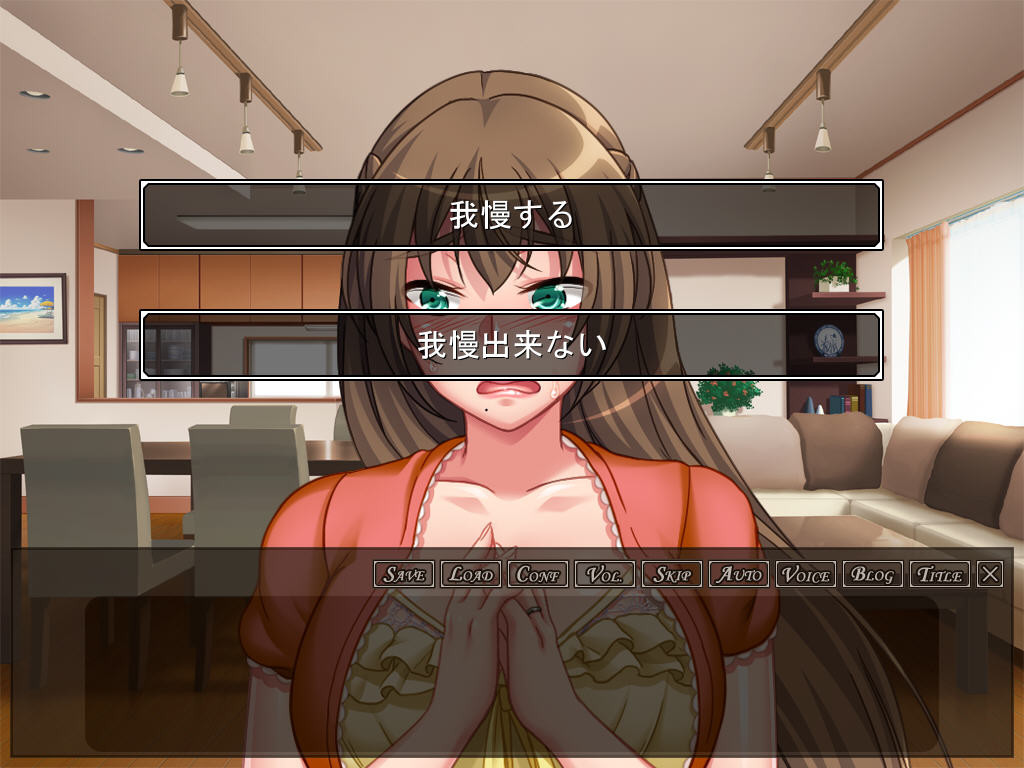 아니키의 아내는 나의 육체적 아내 ～남편에게는 보여주지 않는 음란한 얼굴을 시동생에게 드러내는 거유의 젊은 아내～