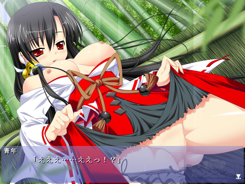 망상 프로토콜! -히메×무녀×로보-