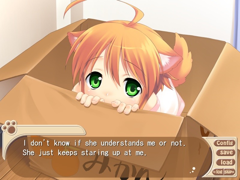 완코와 함께 살자