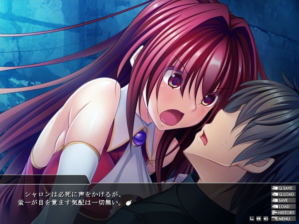 히메기사 샤론과 이세계의 용사