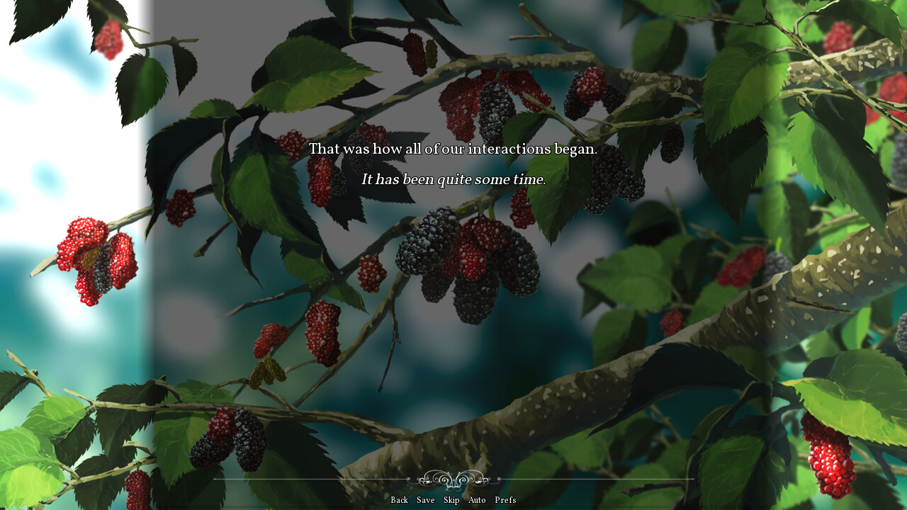 Round the Mulberry Bush