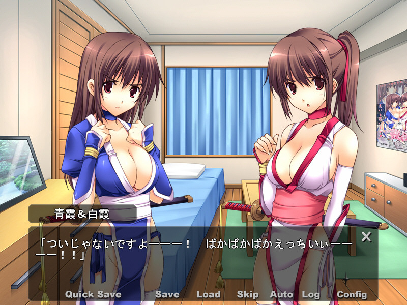 니닌가 카스미전