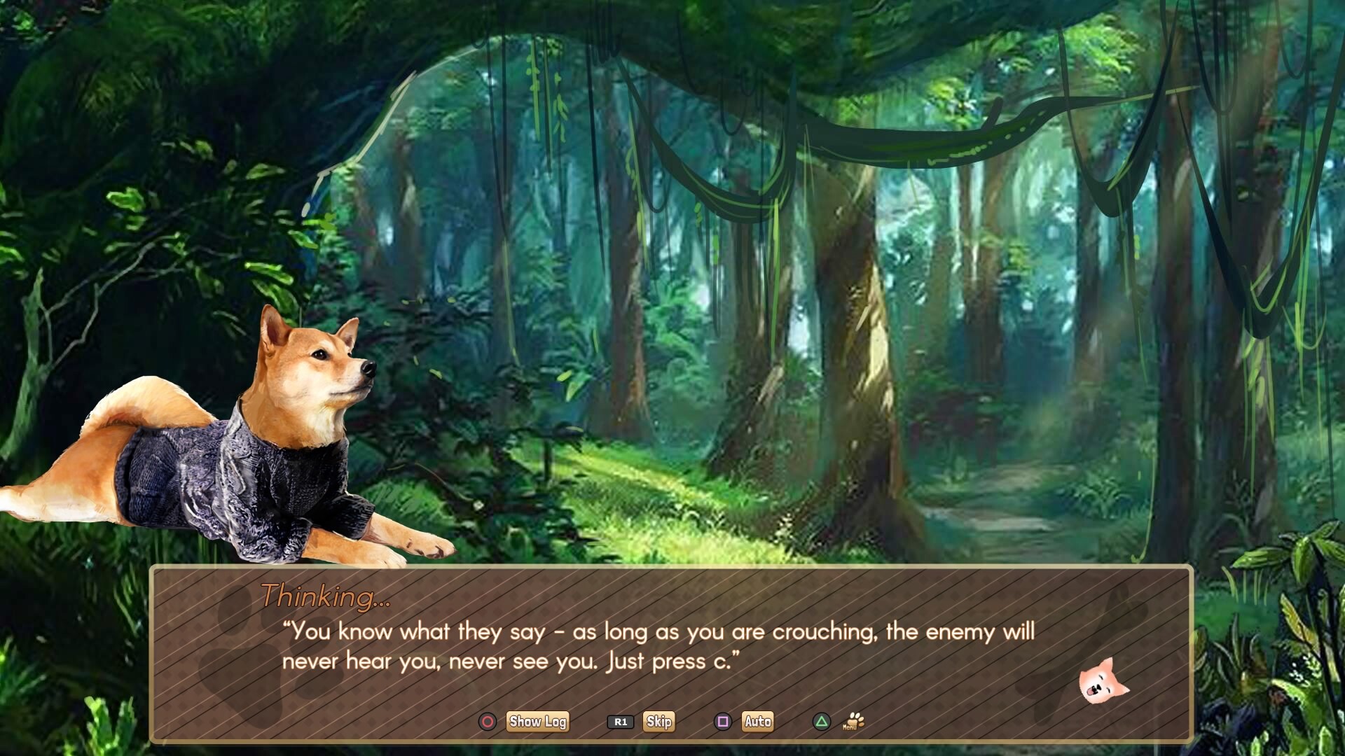 A Summer with the Shiba Inu