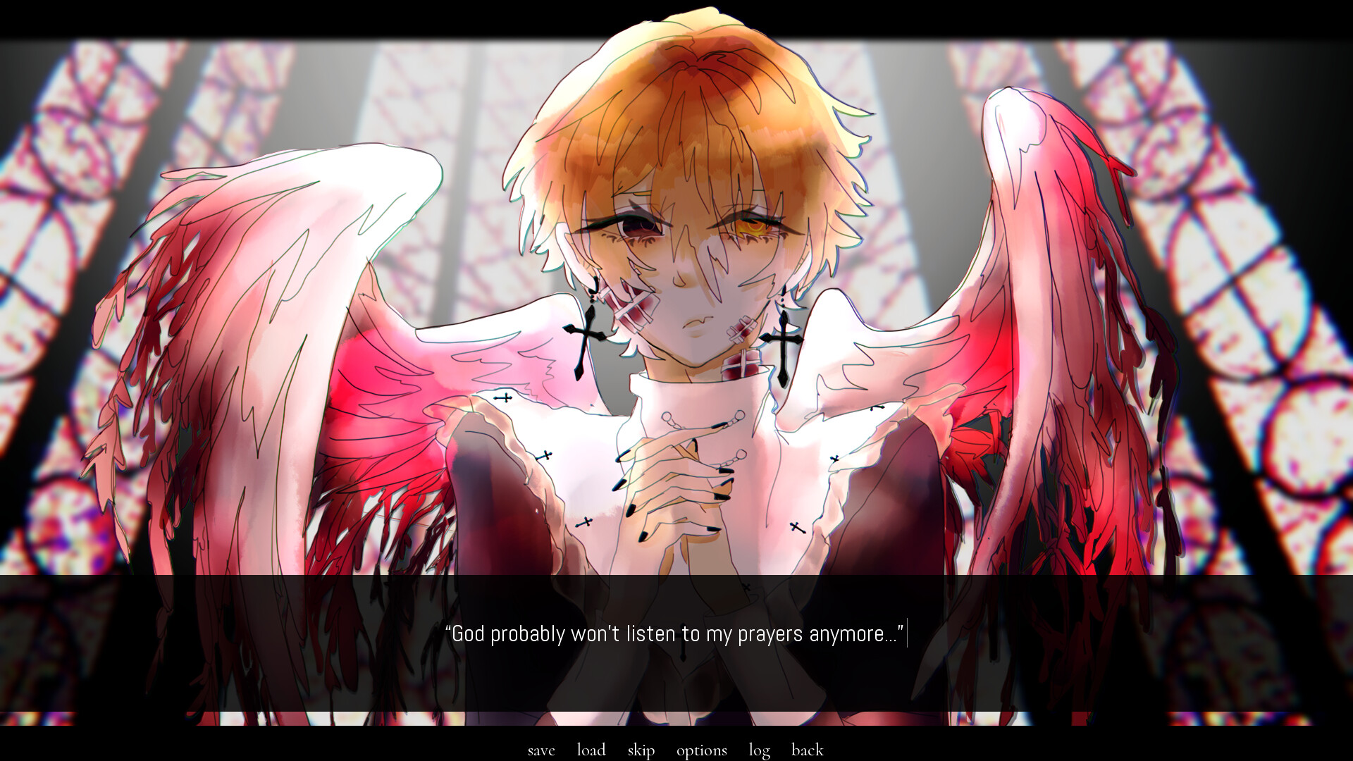 a portrait of feathers