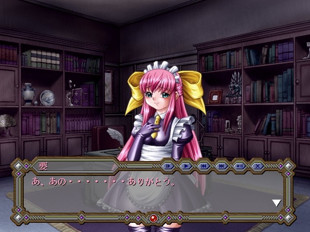 본디지 게임 ～심창의 예양들～