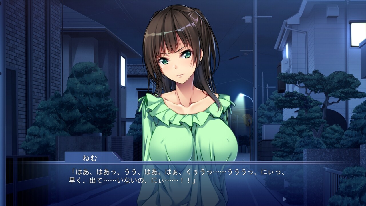 츤엠! 2 ～우리 여자친구는 귀여운 펫～