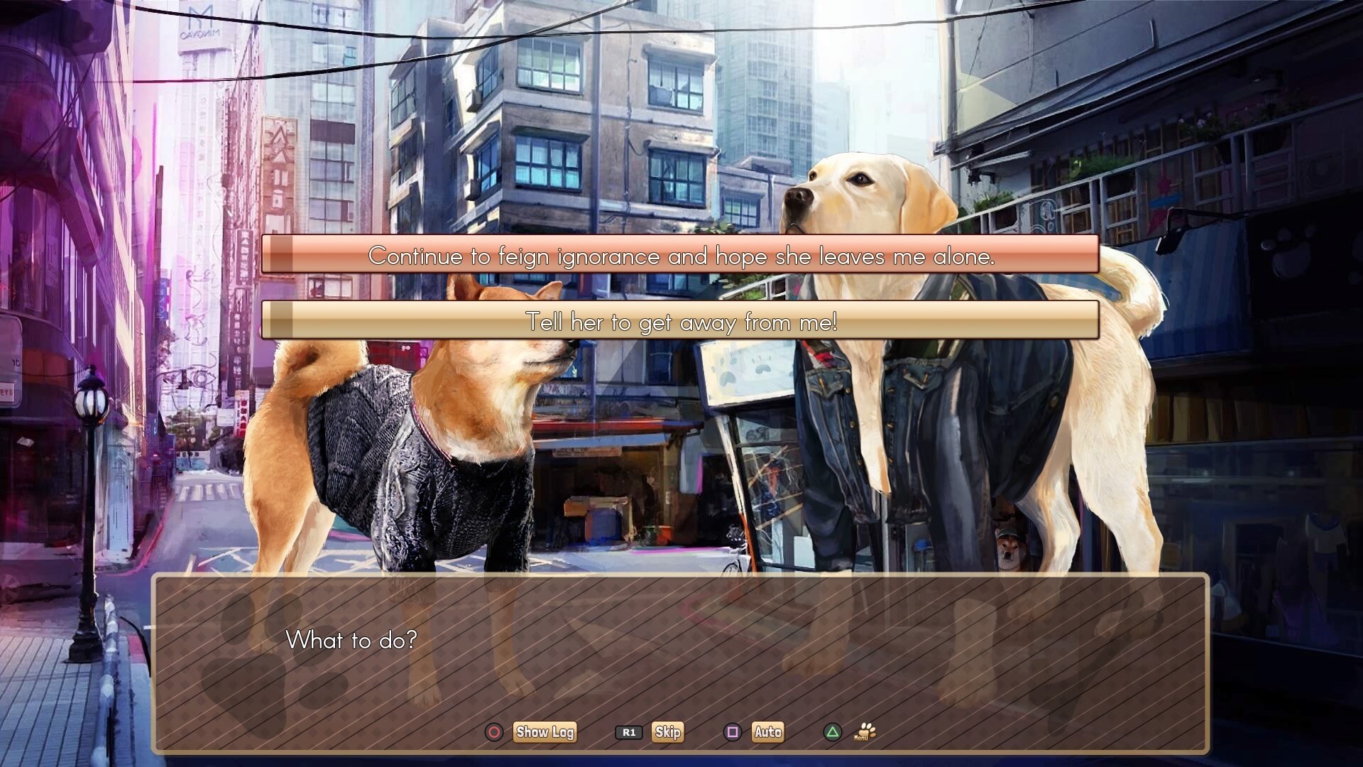 A Summer with the Shiba Inu