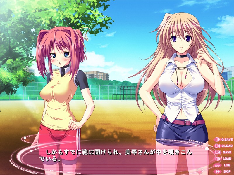 신부 후보가 나타났다! 커맨드는?