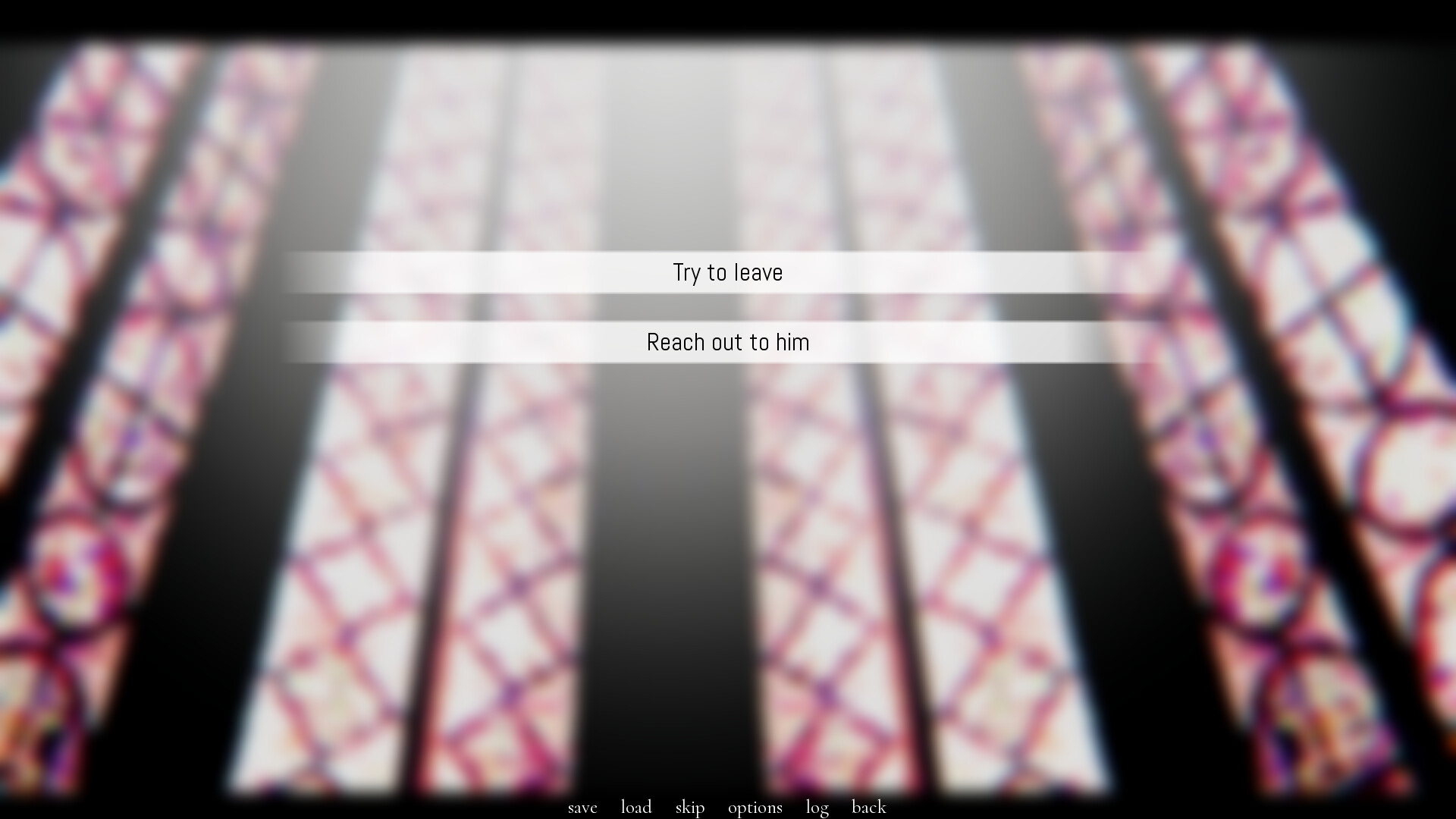 a portrait of feathers