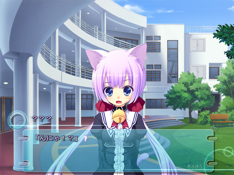 8665^2 하루루코의 사정