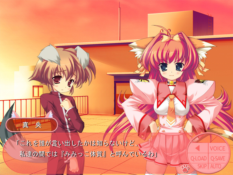 키스미미!! ～Kiss！Me！Me！～