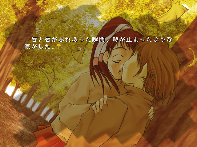 은행나무 흩날릴 무렵