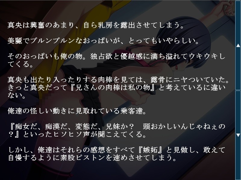 내 여동생은 츤데레 변태였습니다 ～오빠 앞일 때만 그런 거니까!～
