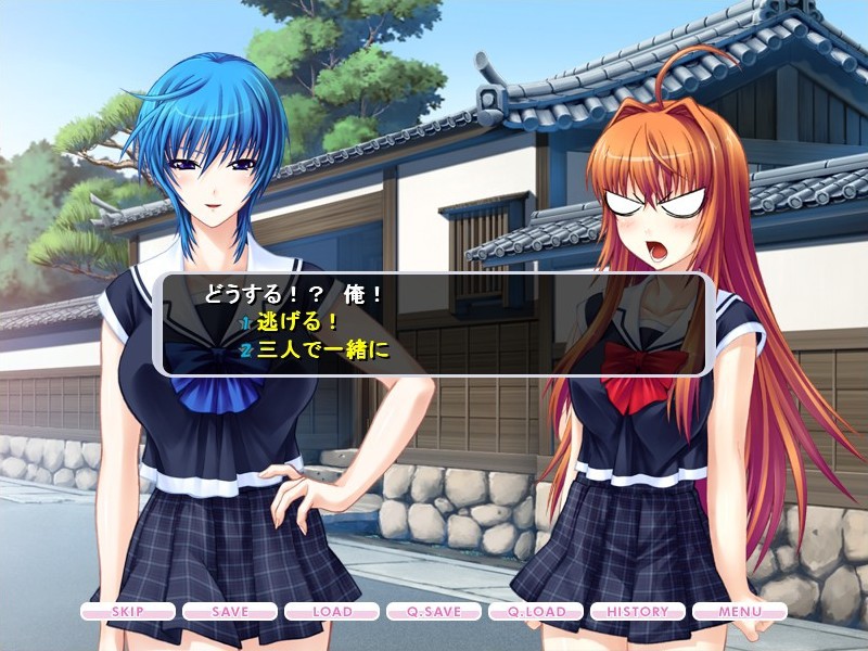 임신시켜줘 세이류 군! ~인의 없는 여자들의 싸움~