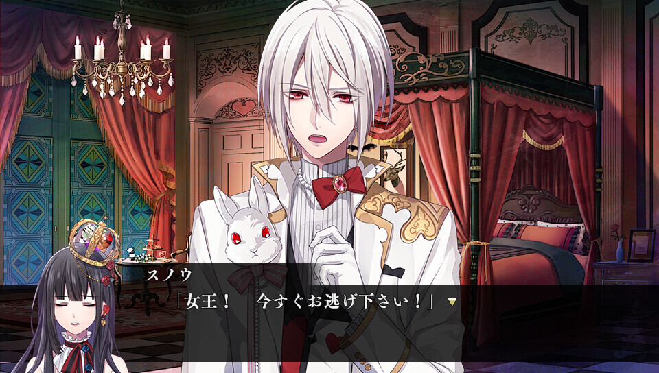 백과 흑의 아리스