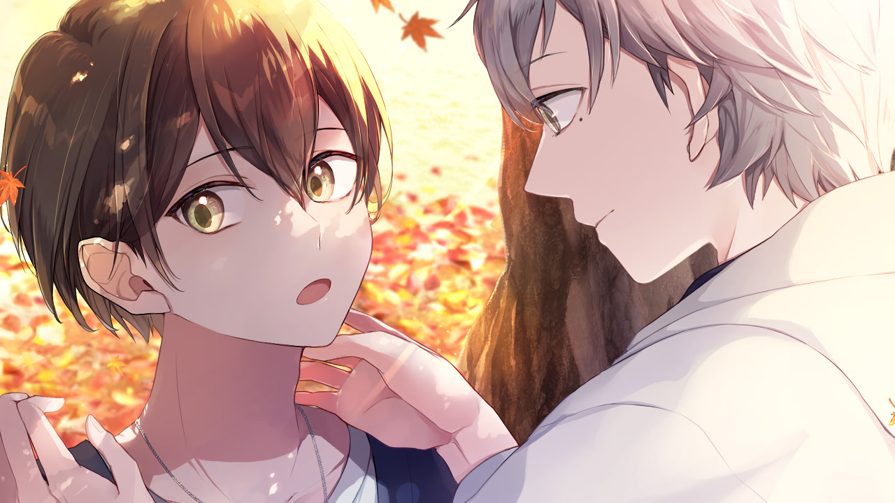 Collision x Collision