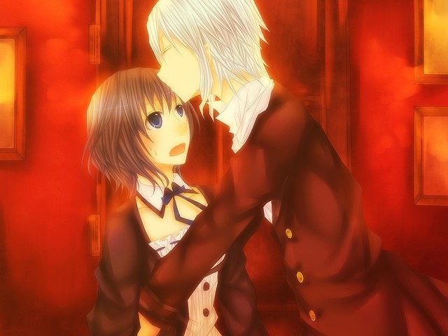 시라아이소라의 새끼새