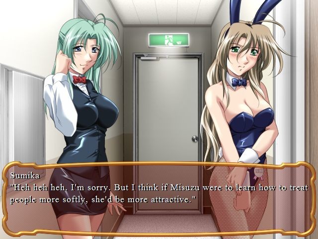 엣치한 바니 씨는 싫어? 2