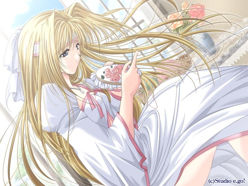 캐슬 판타지아 ～에렌시아 전기～