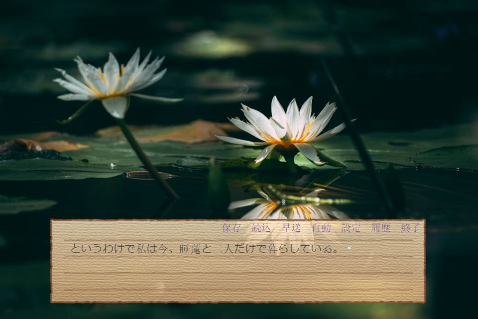 화우(花雨) 낙화는 하늘로 돌아가지 못하고