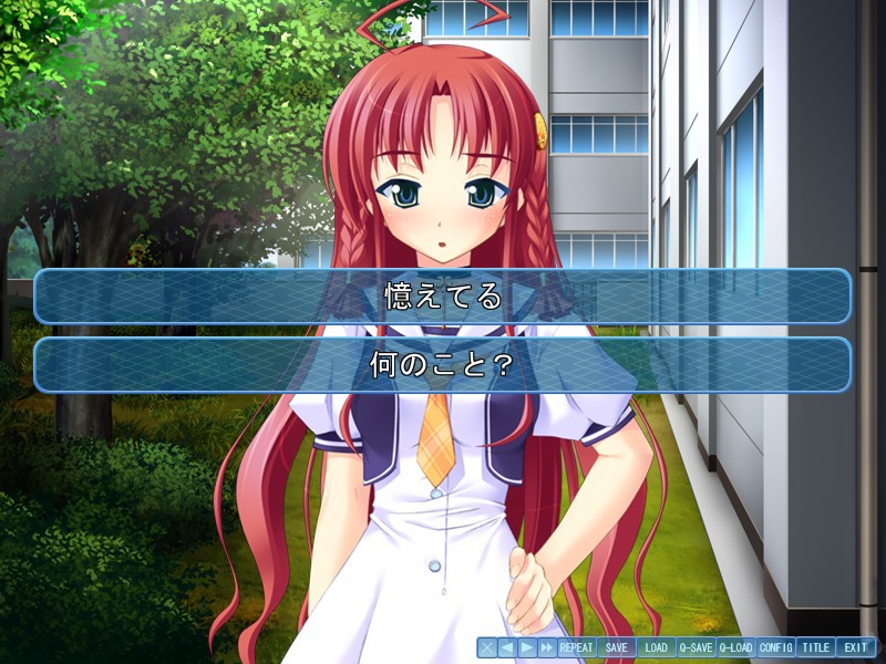 아사나기의 아쿠아노츠