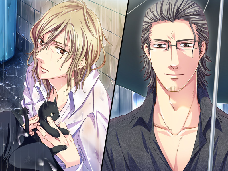 러브 미 텐더 ~오늘 밤, Bar 아루바에서~