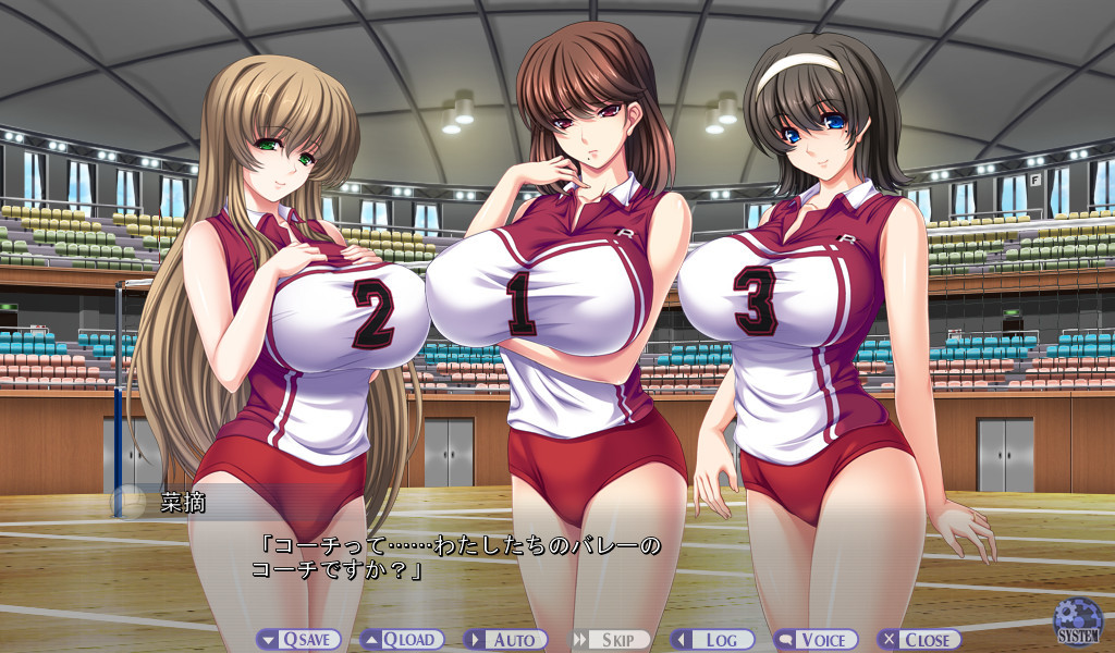 주쿠 발레 ～시고키 다루어지는 익은 유부녀들～