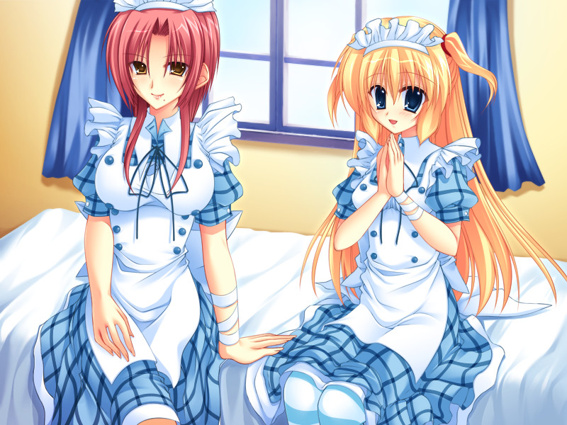 네~PON?×라이PON!