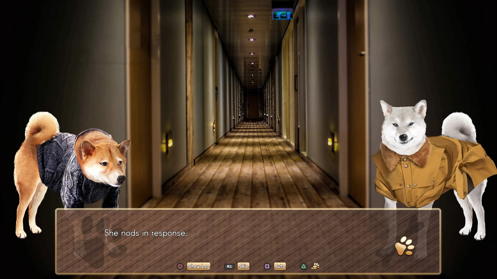 A Summer with the Shiba Inu