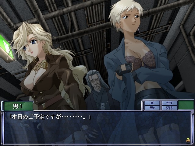 ASSASSIN Ann～어쌔신 앤～