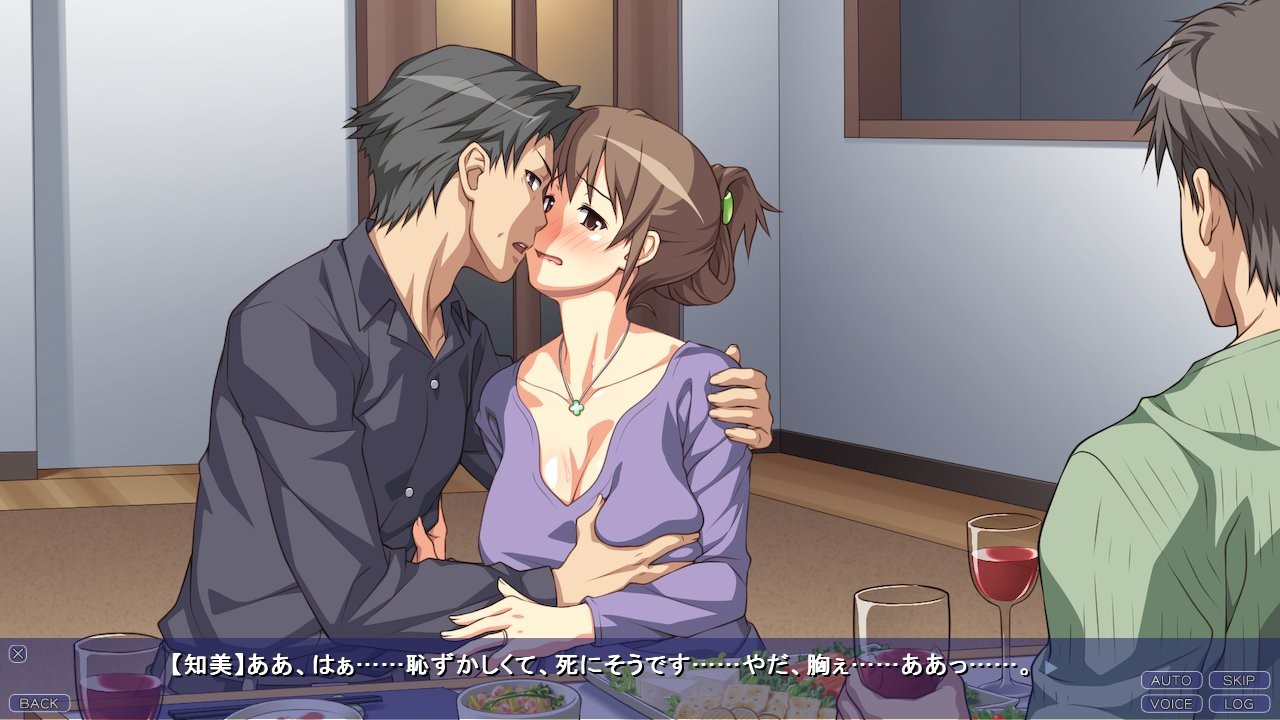 아키즈키가의 수정 의뢰 ―임신할 때까지 반복되는, 아내와 형과의 섹스―