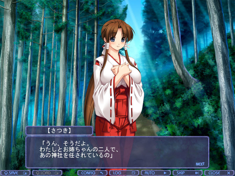 자매 무녀 ~치욕의 긴박 만지(卍) 고문~