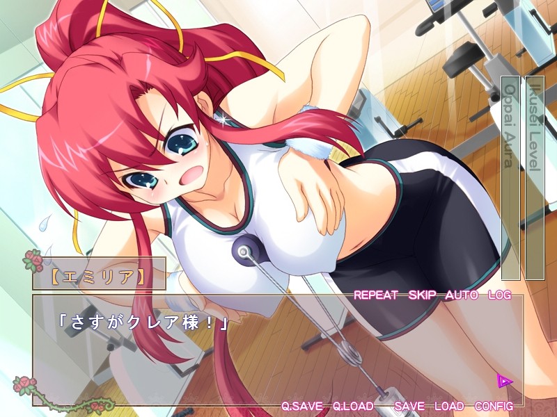 히메사마 명령을!